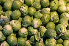 Pile of fresh green Brussels sprouts at a market
