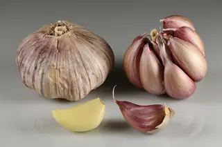Garlic bulbs and separated cloves