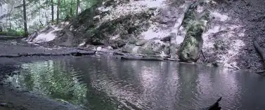 Sandstone canyon wall and still pool at Starved Rock State Park, Illinois
