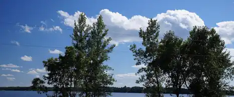 Trees on the shore of Lake Ida under a blue summer sky, Minnesota