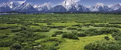 Willow Flats wetlands below the snowy Teton Range in Grand Teton National Park, Wyoming
